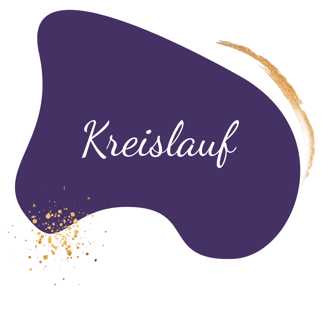 Kreislauf